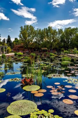 Denver Botanic Gardens: A Verdant Escape in the Heart of the Mile High City!